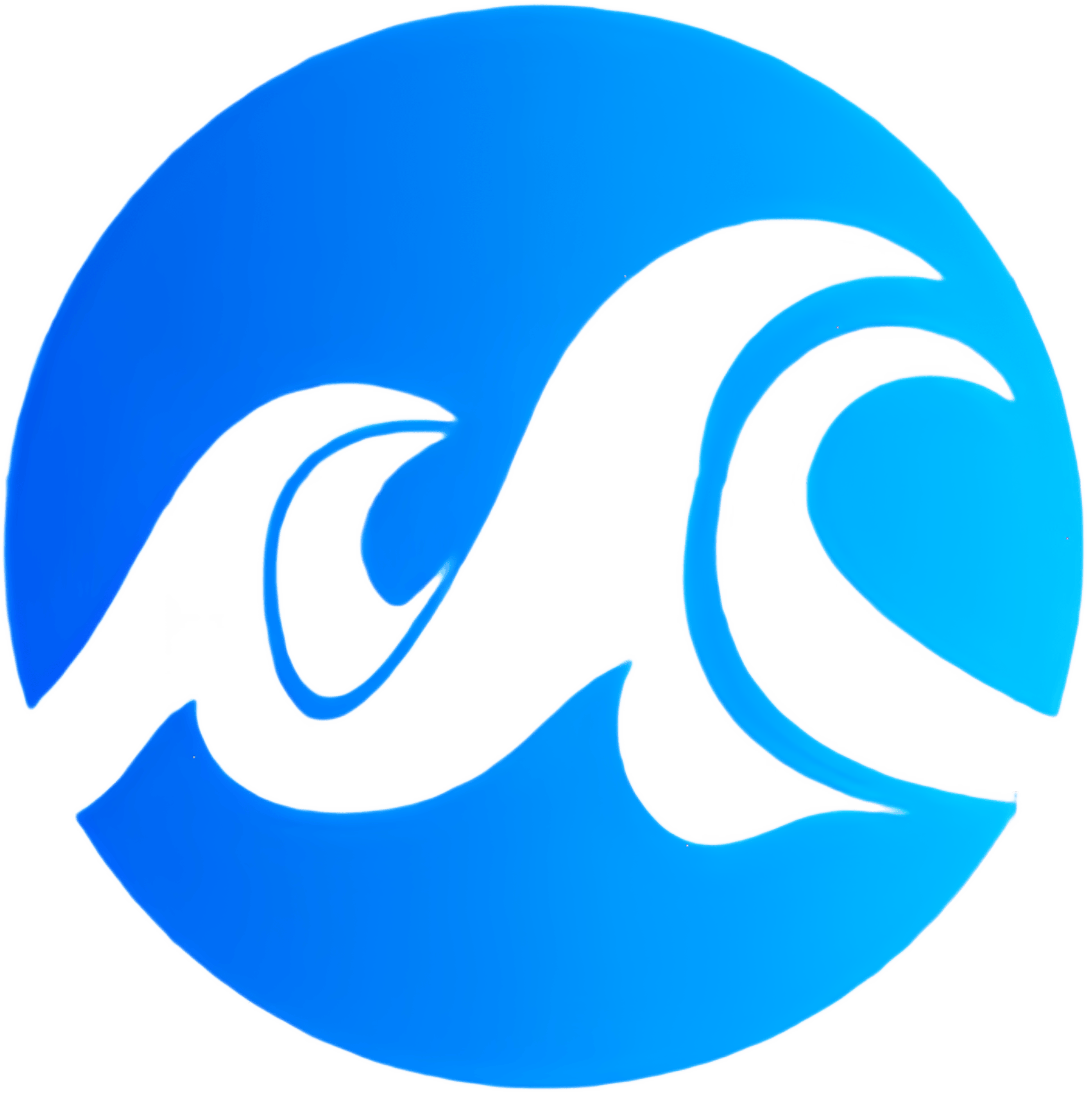 29WKYZ Logo